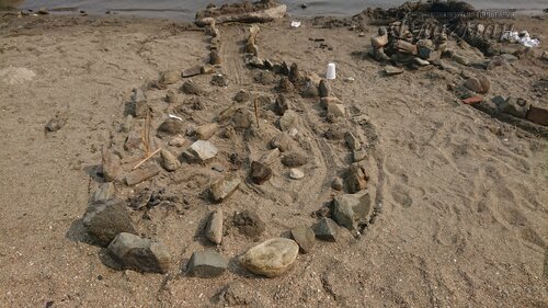 DSC_20220808111947_0267